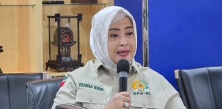 Senator Fahira Idris Minta Kepala Daerah Pastikan Faskes Tetap Layani PBI JKN yang Nonaktif Sementara